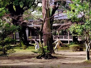 The Assassin Bande-annonce (IT)