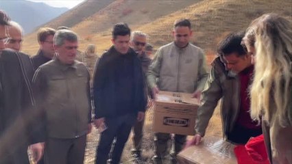 Tedavisi tamamlanan dağ keçileri ve kuşlar doğaya bırakıldı