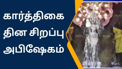 சாத்தூர் சுப்ரமணிய சுவாமி கோவிலில் கார்த்திகை சிறப்பு அபிஷேகம் நிகழ்ச்சி