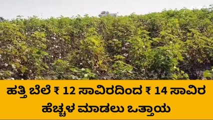 ರಾಯಚೂರ: ಹತ್ತಿ ದರ 13ಸಾವಿರ ರೂ. ನಿಗದಿ ಮಾಡಲು ಒತ್ತಾಯ