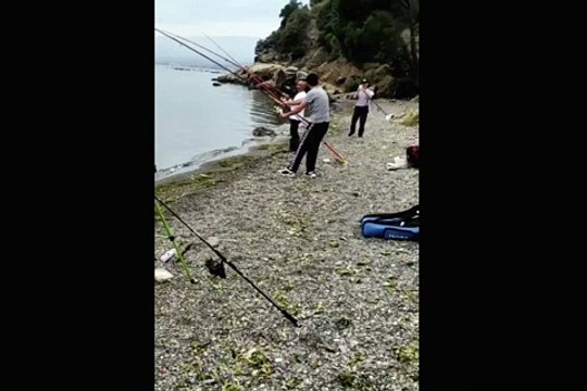 Balık tutmak isteyen amatör balıkçıların avı bu oldu