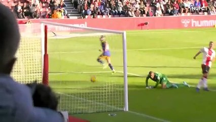 Southampton 1-4 Newcastle United - Premier League Highlights