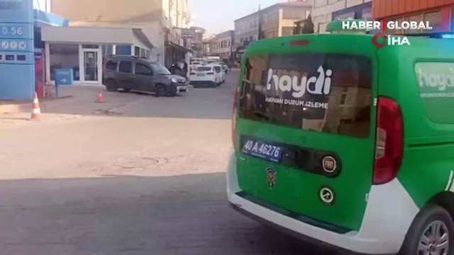 Kiralık otomobil bagajında yavru köpek bıraktı, savunması pes dedirtti