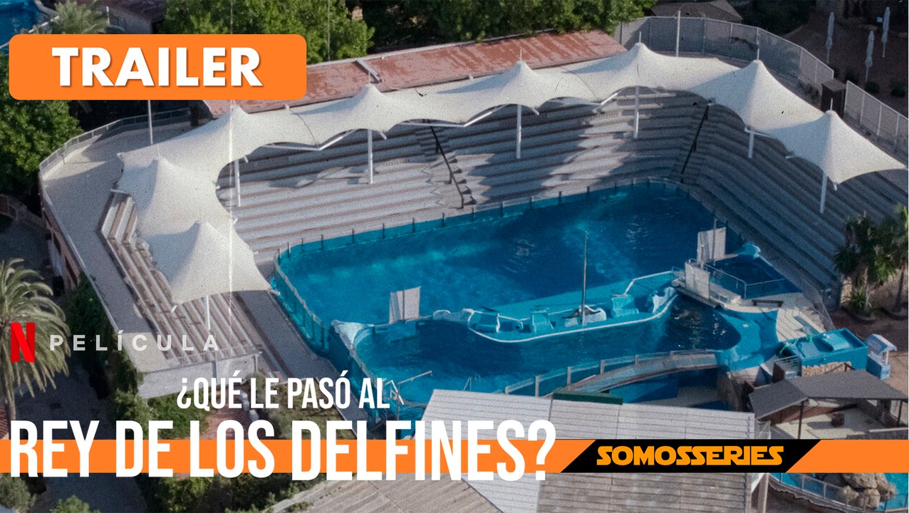 ¿Qué le Pasó al Rey de los Delfines? Netflix Trailer en Español Documental 2022