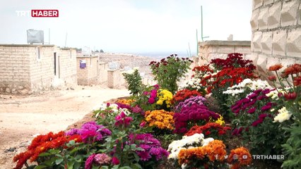 Briket evler Suriyeli sığınmacılara umut oldu