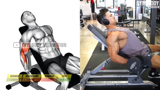 7 BEST Biceps Exercises for Bigger Arms Gym Body Motivation