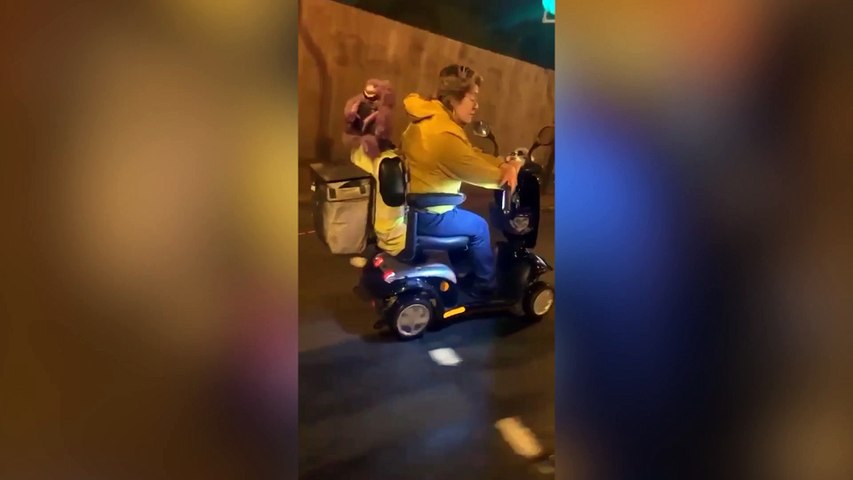 Outrage as dog filmed being dragged along a road by a woman driving a mobility scooter in Birmingham