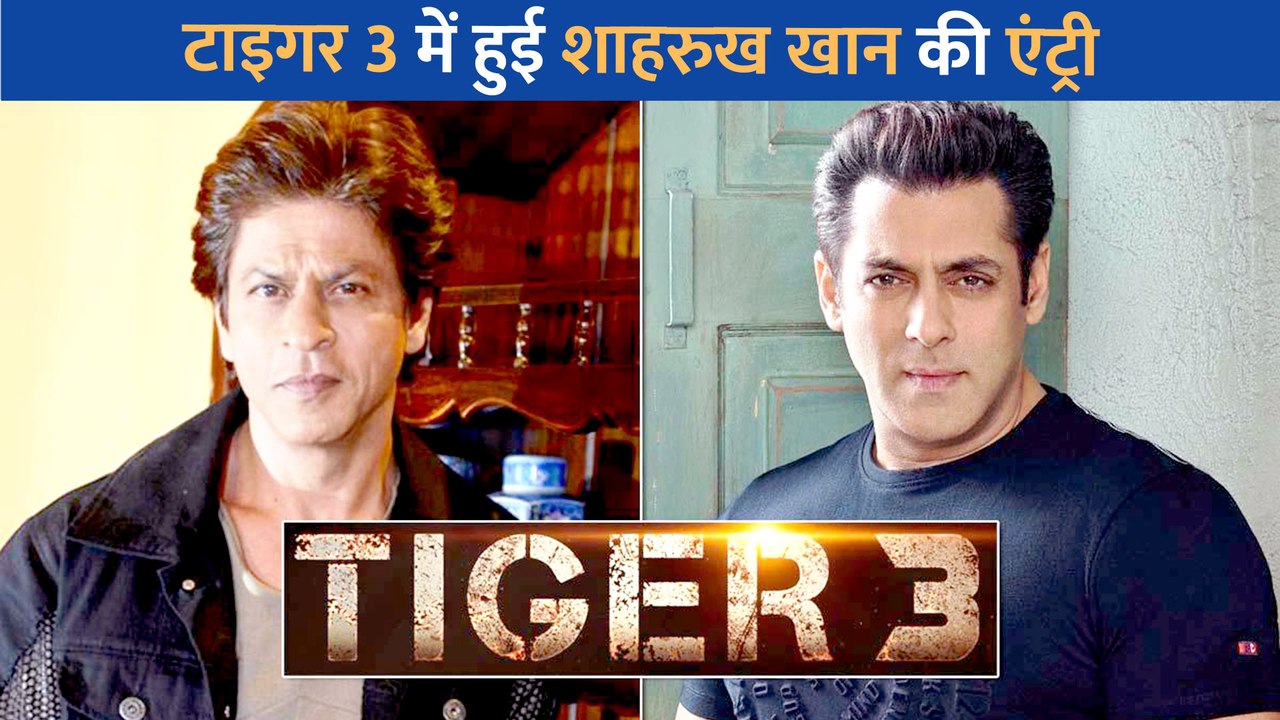 Salman Khan के Tiger 3 में हुई Shah Rukh Khan की दमदार एंट्री, जबरदस्त एक्शन करते नजर आएंगे 'पठान'