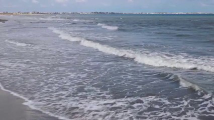 Relaxing Guitar Music  Acoustic