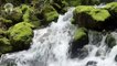 3 Hours of Piano Relaxing Music with Birds and Waterfall Sound For Sleeping, Studying, Healing, and Meditation