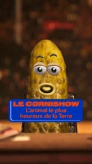 L'ANIMAL LE PLUS HEUREUX DE LA TERRE 