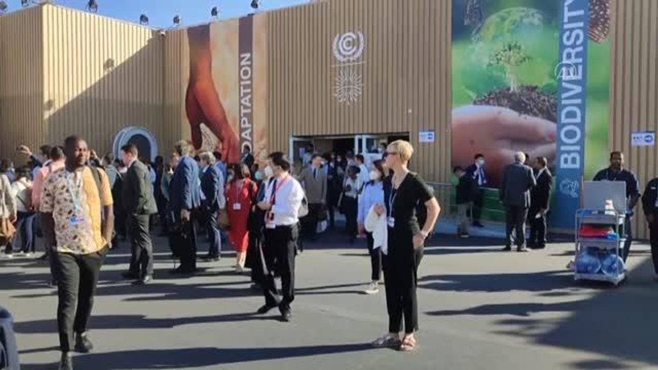 ŞARM EL ŞEYH - İklim aktivistleri Mısır'da gösteri yaptı