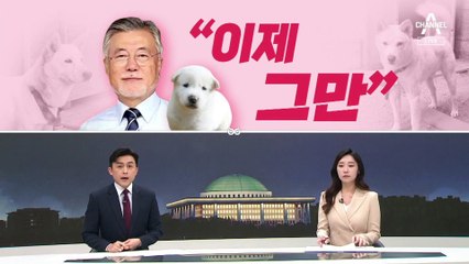 [여랑야랑]김의겸의 ‘잘못된 인용’ / 풍산개 논란 “이제 그만” / ‘웃기고 있네’ 때문에 쫓겨난 수석들