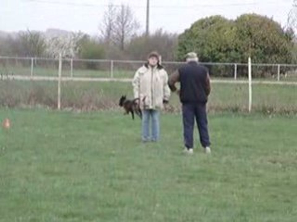 MOV06773