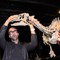 Un squelette de dinosaure vendu 535 000 euros