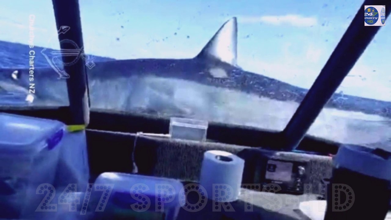 Crazy Moment Massive Mako Shark Lands on Top of Fishing Boat Off New