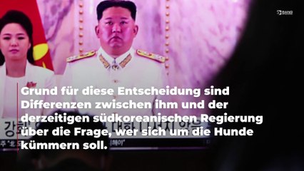 Ehemaliger südkoreanischer Präsident Moon Jae-in soll von Kim Jong-un geschenkte Hunde abgeben