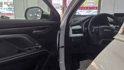 2023 Haval H6 National Tide Edition in-depth Walkaround