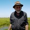 Arles : ce riziculteur s’aide de canards pour désherber ses rizières
