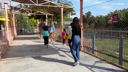 Mykolaiv zoo: Life carries on in war-torn Ukraine