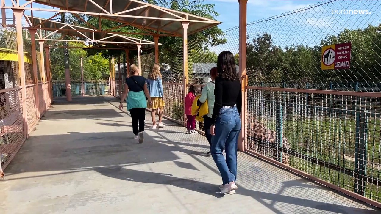 Mykolaiv zoo: Life carries on in war-torn Ukraine