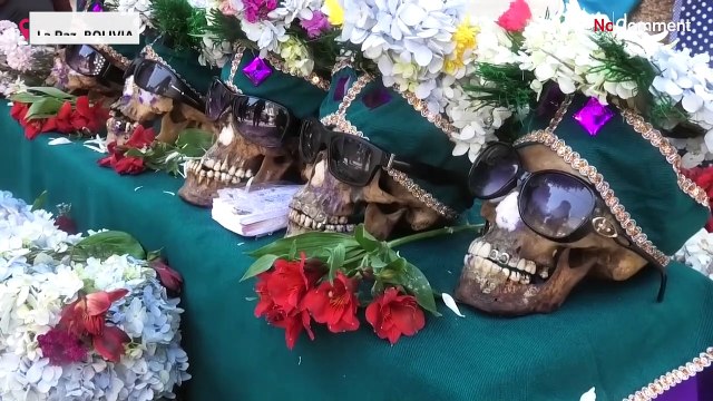 La fiesta de las Ñatitas ou fête des crânes , tradition macabre en Bolivie