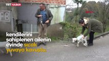 Annesiz kalan ikiz kuzulara yuvalarını açtılar