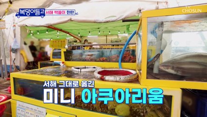 화재로 인해 정으로 똘똘 뭉친 수산시장 상인들 TV CHOSUN 221109 방송
