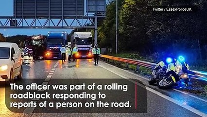 Just Stop Oil’s latest stunt wreaks havoc on M25