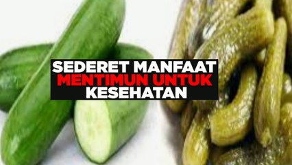 Apa saja manfaat mentimun bagi kesehatan tubuh?