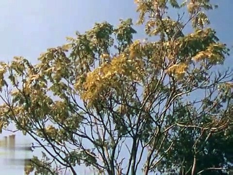 Репортаж советского корреспондента из Вашингтона о высоких для большинства американцев ценах