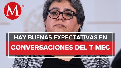 En consultas energéticas bajo el T-MEC con EU, vamos bien: Raquel Buenrostro