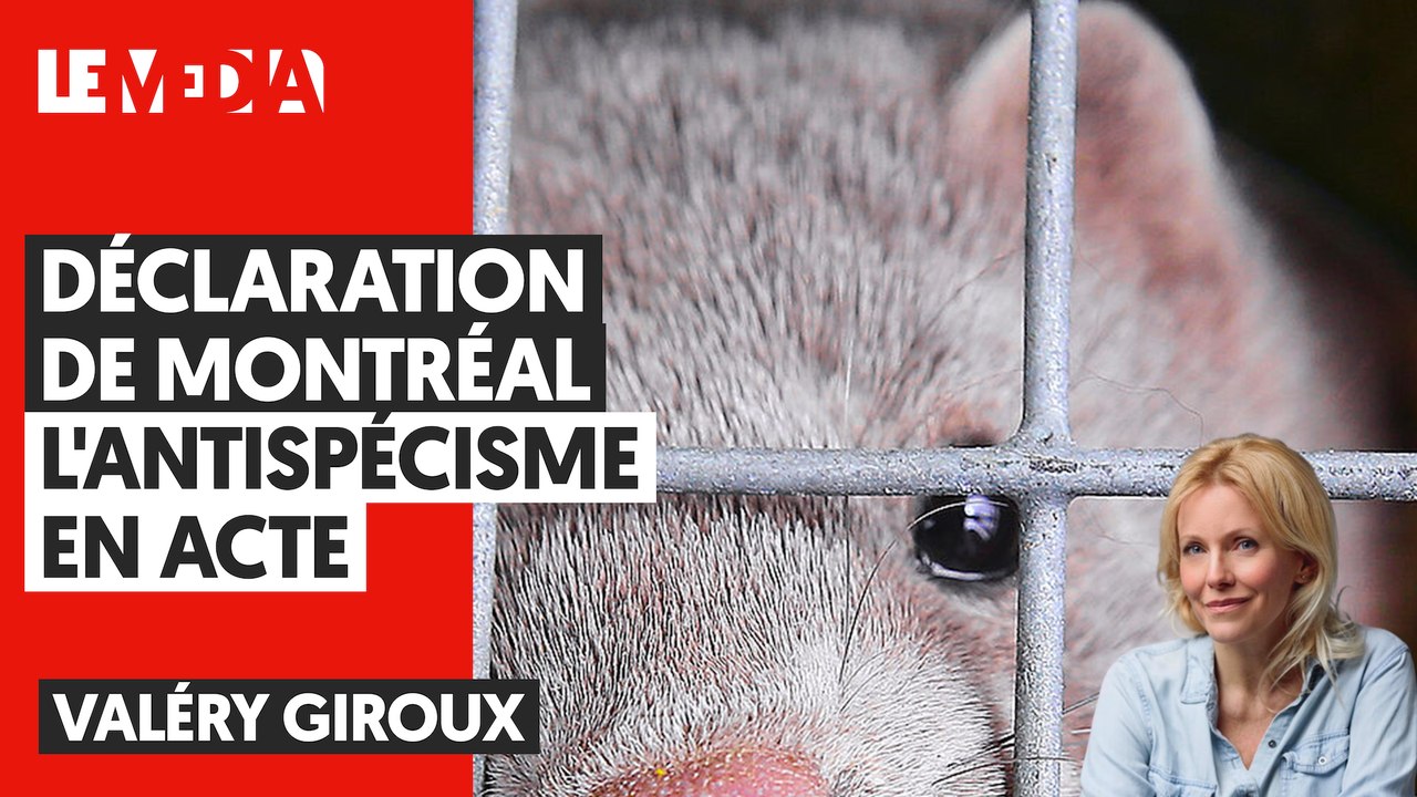 "L'EXPLOITATION ANIMALE EST INJUSTE ET INDÉFENDABLE"