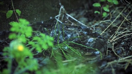 HUJAN _ Cinematic Videos Rainy _ #rain#nature#ambience