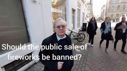 Should the public sale of fireworks be banned?