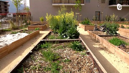 Reportage - Les projets fleurissent sur la Presqu'île