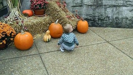 Logan Xavier (2013-10) Pumpkin Patch
