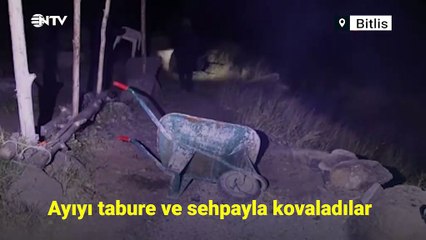 Piknik masasına gelen ayıyı tabure ile kovaladı