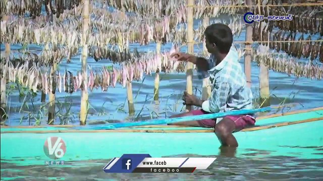 Life With River _ Fisherman Drying Fishes In River After Hunt | V6 News (3)