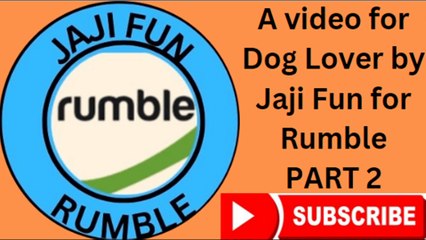 Cutest Dog Breeds  part 2