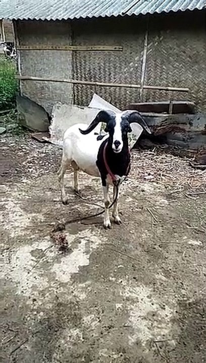 Lagi berjemur