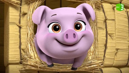 بيت قش جديد لصغار الحيوانات