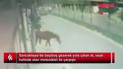 Sancaktepe'de yola çıkan başıboş ata motosiklet böyle çarptı