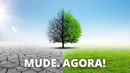 DO FRACASSO AO SUCESSO, SEM DEMORA!