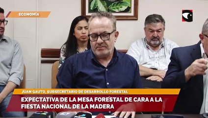 Expectativa de la mesa forestal de cara a la fiesta nacional de la madera