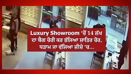Luxury Showroom ‘ਚੋਂ 14 ਲੱਖ ਦਾ ਬੈਗ ਚੋਰੀ ਕਰ ਭੱਜਿਆ ਸ਼ਾਤਿਰ ਚੋਰ, ਧੜਾਮ ਜਾ ਵੱਜਿਆ ਸ਼ੀਸ਼ੇ ‘ਚ…