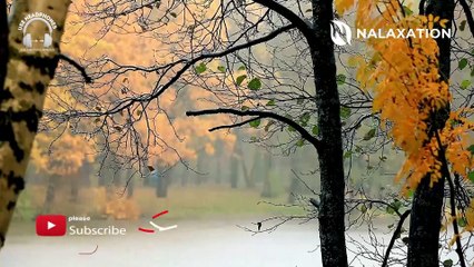 Piano & Violin Relaxing Music with Birds Sound