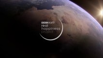 Nature Makes You Happy _ BBC Earth