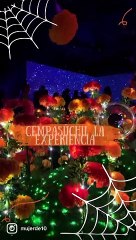 Visitamos la Experiencia Inmersiva de Cempasúchil con Cerveza Victoria🍺