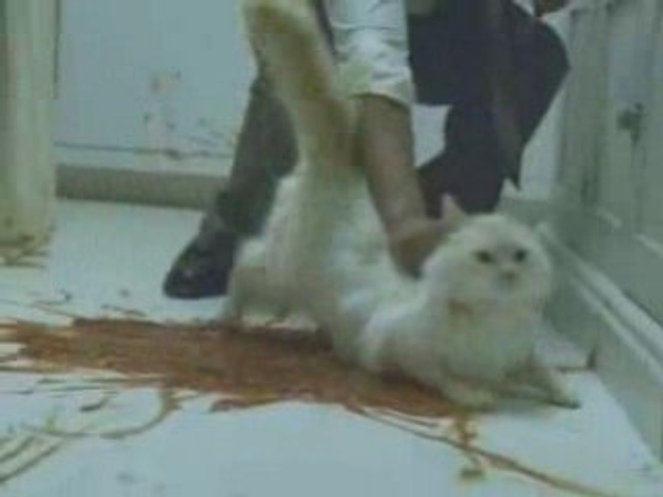 Pub - Ameriquest Romantic Dinner - Dîner Romantique